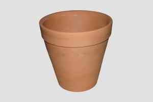 clay pot 1
