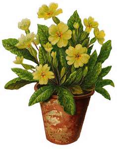 Flower pot - yellow flowers